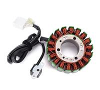 ZAPYVET Bobina del estator del generador del Motor magnético de la Motocicleta, for, TMAX T MAX 500 XP500 T-MAX- 500 2004 2005 2006 2007 Carga del generador Bobina de Encendido para Motocicleta