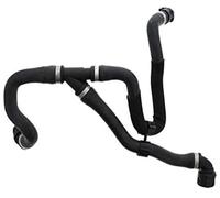 ZAPYVET For F20F30 F35 125i 320li 328li, 17127596839 Tubo de tanque de agua Manguera de radiador Tubo de bajada Manguera de radiador