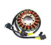 ZAPYVET Reemplazo de Bobina de estator y generador de Magneto for AN250 AN400 Burgman 250 400 1999-2002 32101-14F20-000 Bobina de Encendido para Motocicleta