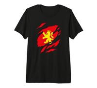 Zaragoza Ciudad Bandera y Escudo Aragón Efecto 3D Camiseta Premium