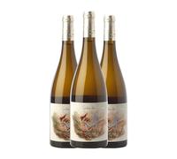 Zárate El Jardín de Lucía Albariño Rías Baixas 75 cl Vino blanco (Caja de 3 Botellas de 75 cl)
