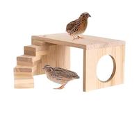 Zasdvn Jaula para hámsters, estructura de escalada de madera para hámsters, juguete de escalada y movimiento de varios pisos para animales pequeños como hámsters, ratones, gerbil, chinchilla y