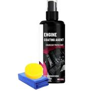 Zasdvn Kit Limpiador de Compartimento del Motor - Limpiador Profesional De 100ml Para Coche,Herramienta de Limpieza para Lavado de Piezas de Compartimento de Máquina y Exterior,para Coche Camión