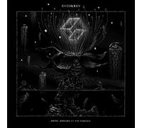 Zatokrev ...Bring Mirrors to the Surface (Vinyl) 12" Album