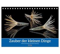 Zauber der kleinen Dinge (Tischkalender 2026 DIN A5 quer), CALVENDO Monatskalender: Klein und meist übersehen - Portraits von Samen und Beeren