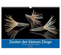 Zauber der kleinen Dinge (Wandkalender 2026 DIN A3 quer), CALVENDO Monatskalender: Klein und meist übersehen - Portraits von Samen und Beeren