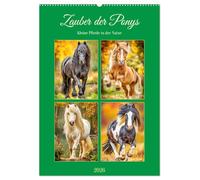 Zauber der Ponys. Kleine Pferde in der Natur (Wandkalender 2026 DIN A2 hoch), CALVENDO Monatskalender: Die liebenswerte Welt der Ponys in malerischen Landschaften