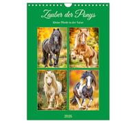 Zauber der Ponys. Kleine Pferde in der Natur (Wandkalender 2026 DIN A4 hoch), CALVENDO Monatskalender: Die liebenswerte Welt der Ponys in malerischen Landschaften