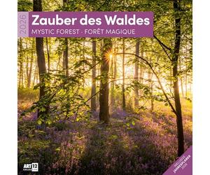 Zauber des Waldes Broschürenkalender 2026 - 30x30 - Art12 | Stilsicherer Wald-Kalender im schlanken Hochformat (aufgeklappt 30x60 cm) | zum Eintragen