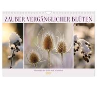 Zauber vergänglicher Blüten (Wandkalender 2027 DIN A4 quer), CALVENDO Monatskalender: Momente der Stille und Schönheit