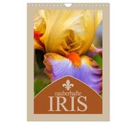 Zauberhafte Iris (Wandkalender 2026 DIN A4 hoch), CALVENDO Monatskalender: Scherlilien sind Knollengewächse die Rhizome bilden und nach der Göttin des Regenbogens benannt wurden.