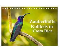 Zauberhafte Kolibris in Costa Rica (Tischkalender 2026 DIN A5 quer), CALVENDO Monatskalender: Ungefähr 52 Arten von Kolibris sind in Costa Rica heimisch, die im ganzen Land zu sehen sind.