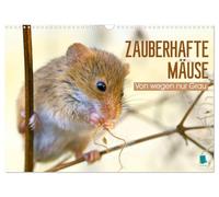 Zauberhafte Mäuse: Von wegen nur Grau (Wandkalender 2026 DIN A3 quer), CALVENDO Monatskalender: Die Maus: Possierlicher Plagegeist