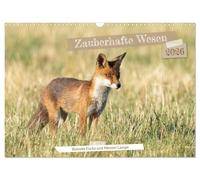 Zauberhafte Wesen - Reineke Fuchs und Meister Lampe (Wandkalender 2026 DIN A3 quer), CALVENDO Monatskalender: Zauberhafte Fotos von Fuchs und Feldhase in freier Natur.