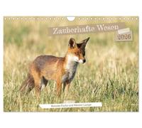 Zauberhafte Wesen - Reineke Fuchs und Meister Lampe (Wandkalender 2026 DIN A4 quer), CALVENDO Monatskalender: Zauberhafte Fotos von Fuchs und Feldhase in freier Natur.