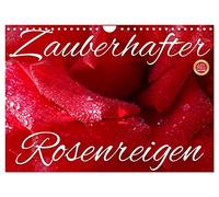 Zauberhafter Rosenreigen (Wandkalender 2026 DIN A4 quer), CALVENDO Monatskalender: Kleine Hommage an die Rose, die Königin der Blumen