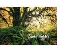 Zauberwälder Edición Kalender 2024