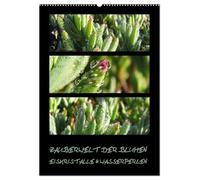 ZAUBERWELT DER BLUMEN - EISKRISTALLE & WASSERPERLEN (Wandkalender 2026 DIN A2 hoch), CALVENDO Monatskalender: Makroaufnahmen exotischer Pflanzen mit Eiskristallen und Wasserperlen