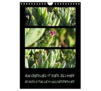 ZAUBERWELT DER BLUMEN - EISKRISTALLE & WASSERPERLEN (Wandkalender 2026 DIN A4 hoch), CALVENDO Monatskalender: Makroaufnahmen exotischer Pflanzen mit Eiskristallen und Wasserperlen