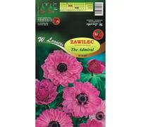 Zawilec The Admiral rosa 8 unidades.