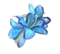 ZAYIUKI Elegante pinza para el pelo con diseño de flores, pinza de agarre fuerte con abrazadera acrílica para mujeres de todas las edades