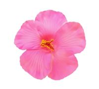 ZAYIUKI Siumlation - Pasador para el pelo con diseño de flor de hibisco para mujeres y niñas, accesorios para el cabello para vacaciones y fiestas en la playa