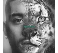 ZAYN Konnakol (Vinyl) 12" Album Coloured Vinyl