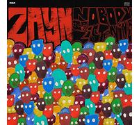 Zayn - Nobody is listening