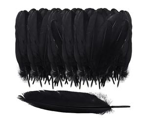 ZBHDEYG 150 plumas negras, decoración de bricolaje, manualidades de plumas, plumas naturales, decoración de plumas, se pueden utilizar para ropa, sombreros y decoración de muebles