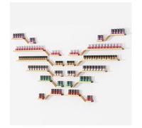 ZBJDX Estante De Metal para Esmaltes De UñAs, 12 Unidades, para SalóN De UñAs, Organizador De Aceites Esenciales De Pared, Estantes De Pared para Perfumes, para Arreglos De Bricolaje,Oro