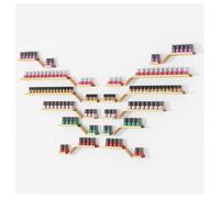 ZBJDX Estantes De Pared para Esmaltes De UñAs, Juego De 12 Estantes para Almacenar Aceites Esenciales, Vitrina De Metal para CosméTicos, Compatible con Arreglos De Bricolaje,Oro