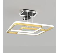 ZBZFGE Chandelier Living Room Dimming Chandelier Northern Europe Ceiling Lamp Creativity Personality Restaurant Bedroom Pendant Lights with Light Remote Control Light ，Hanging Lamp