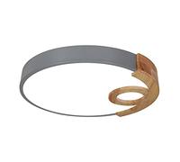 ZBZFGE Chandeliers, Creative LED Light Nordic Fixture Infinite Dimming Ceiling Lighting with Remote Energy Saving Household Flat Lamp for Bedroom, Living Room(Grey,50cm)