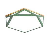 ZBZFGE Chandeliers, Flush Mount LED Fixture Cutout Lighting Metal Lamp Energy Close to The Ceiling Flat Light for Bedrooms Color Green Size 5