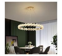 ZBZFGE Chandeliers LED Crystal Ring Chandelier Indoor Lighting Luster Loft Light for Living Room Bedroom Round Fixture Lights,Hanging Light(Diameter 60cm,Cool White)