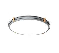 ZBZFGE Chandeliers, Promise Dimming LED Light Fixture Energy Efficient Flush Mount Ceiling Lighting Acrylic Metal Shade Flat Lamp for Kitchen, Bedroom Color : Grey