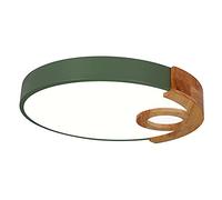 ZBZFGE Chandeliers, Tri-Color Dimming LED Light Nordic Fixture Minimalist Ceiling Lighting Energy Saving Acrylic Shade Flat Lamp for Home Improvement(Green,40cm)