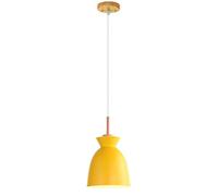 ZBZFGE Colored Single Head Small Hanging Light, Decorative Chandelier, Metal Shade, Restaurant Cafe Lighting Fixture, Ceiling Pendant Lamp, LED Chandelier,Wall Lights