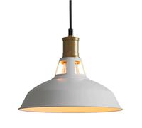 ZBZFGE Creative Industrial Style Metal Pendant Lamp,Personality American Chandelier, Base Single-Head Hanging Light,Office Meeting Room Coffee House Decorative Fixtures(White)
