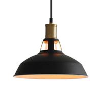 ZBZFGE Creative Industrial Style Metal Pendant Lamp,Personality American Chandelier, Base Single-Head Hanging Light,Office Meeting Room Coffee House Decorative Fixtures(Dark)