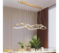 ZBZFGE Dining Table Height Adjustable Hanging Lamp Round Rings Living Room Lamp,Ceiling Light Fixture,One Color-2-Rings