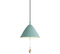 ZBZFGE Elegant Chandelier Decoration for Living Room and Dining Room - Multiple Color Options Compatible with Metal Pendant Lamp