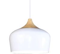 ZBZFGE Elegant Chandelier Decoration for Living Room and Dining Room - Multiple Color Options Compatible with Metal Pendant Lamp