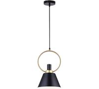 ZBZFGE Industrial Retro Pendant Light - Black, White, Green, Gray