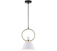 ZBZFGE Industrial Retro Pendant Light - Black, White, Green, Gray