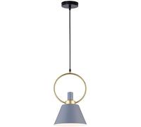 ZBZFGE Industrial Retro Pendant Light - Black, White, Green, Gray