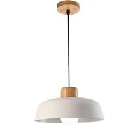 ZBZFGE Industrial Retro Pendant Lights - Pink, White, Black, Green, Blue, Gray