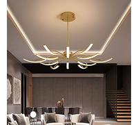 ZBZFGE Lights Compatible with Living Bedroom Study Room Adjustable Ceiling Lamp Lighting Chandelier, LED Chandelier,Keep Your Eyes,Hanging Light