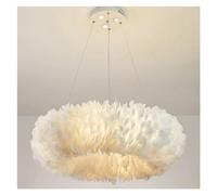 ZBZFGE Luxury LED Chandelier， Goose Feather Pendant Light、 Living 、Dining Room、 Bedroom 、Parlor Hall Hanging Lamp， RomanticHome Decoration Ceiling Chandelier,Hanging Light(White,70cm)