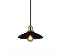 ZBZFGE Retro Chandelier 25cm American Style Pendant Light Bedroom Dinning Living Room Loft Industrial Decor Vintage Adjustable Ceiling Hanging Lamp Interesting Life ，Hanging lampshades for Ceiling